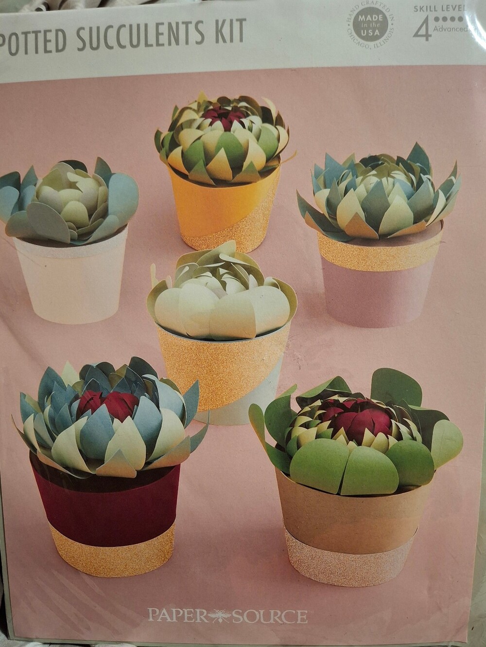 Paper Source Potted Succulents Kit
